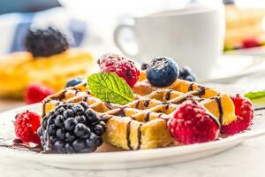 Fresh waffles with chocolate syrup berries sugar powder ant mint leaves. photo