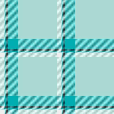 Check background tartan of vector seamless texture with a textile plaid pattern fabric.