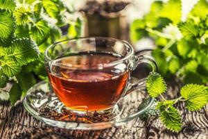 A cup of melissa tea with herbs on wooden table photo