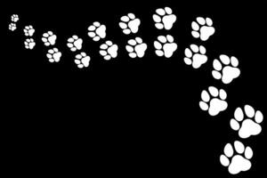 Trace and path on black background of animal tracks, dog and cat moving away vector