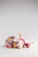 Garlic Cloves and Bulbs over white background photo