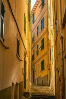 Colorful cityscape of buildings in Europe, Cinque Terre photo