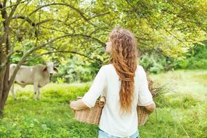 a woman is standing in the grass with a cow photo