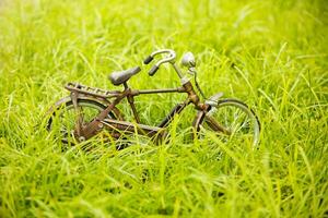 a toy bike is sitting in the grass photo
