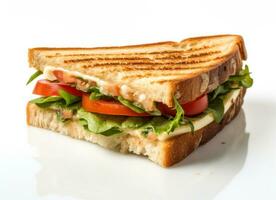 Grilled sandwich cut into pieces isolated photo