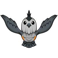 Cute black crested titmouse cartoon vector