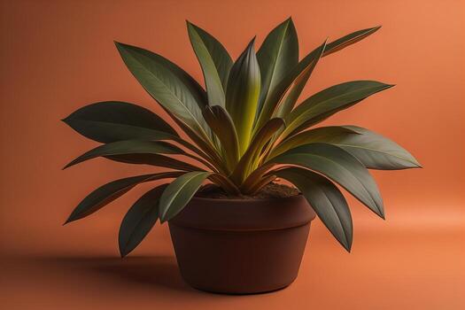 Flowers in a pot on a solid color background. ai generative photo