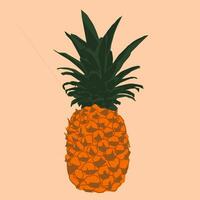 This vibrant illustration showcases a ripe and juicy pineapple, exuding the tropical sweetness and freshness of the fruit. vector