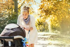 a woman pushing a stroller with a baby in it photo