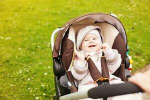 a baby in a stroller on a grassy field photo