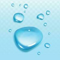 Transparent water bubbles. transparent isolated realistic design elements. can be used with any background vector