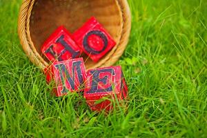 home - wooden blocks in a basket on the grass photo