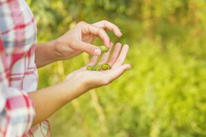 a woman holding a handful of hops in her hands photo