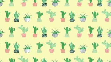 Succulents seamless pattern. Succulent ornament, floral pattern with beautiful plants. Succulents of various shapes. Potted plants. Cactus potted. Blooming cacti, popular house plants. vector