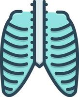 color icon for thorax vector