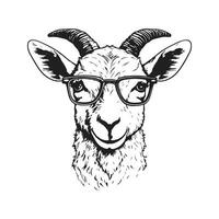 goat wearing sunglasses, vintage logo line art concept black and white color, hand drawn illustration vector