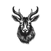 waterbuck, vintage logo line art concept black and white color, hand drawn illustration vector