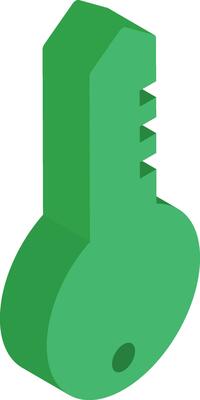 Green key icon in 3d style.