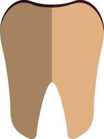 Half shadow style of tooth icon for human body. vector