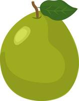 Fresh green pear with a leaf. vector