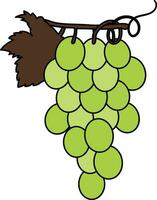 Illustration of grapes icon for agriculture in stroke. vector