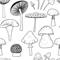 Seamless different mushrooms. Vector sketch illustration