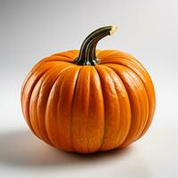 Pumpkin fruit orange color white background photo