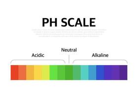 The Ph scale universal Indicator ph Color Chart diagram. Vector illustration with ph scale.