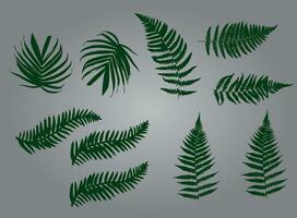 Leaf and Leaves Vector Illustration for Cut out pattern