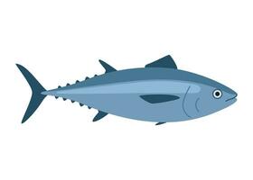 Tuna, bluefin fish, seafood and underwater color animal. Water delicacy, gourmet. Fishing. Vector illustration isolated on white background