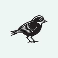 Bird Modern logo Design vector