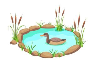 Pond with reeds and duck. Lake in cartoon style. Pond with grass and stones vector