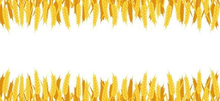 Vector seamless background of wheat. Border with yellow spikes. Autumn frame with cereal vegetation