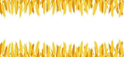 Vector seamless background of wheat. Border with yellow spikes. Autumn frame with cereal vegetation