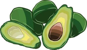 Several green fruit avocados placed together and cut in halves. vector