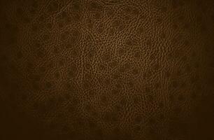 Brown leather texture background photo