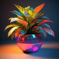 bright color ornamental plants in the pot photo