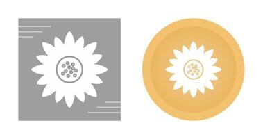 Sunflower Vector Icon