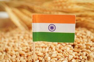 India flag on grain wheat, trade export and economy concept. photo