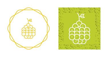 Raspberry Vector Icon