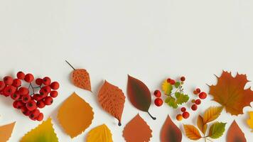 Autumn flat lay background on white photo