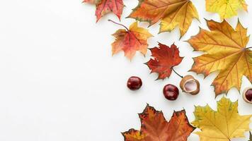 Autumn flat lay background on white photo