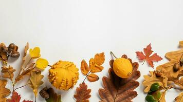 Autumn flat lay background on white photo