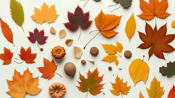 Autumn flat lay background on white photo