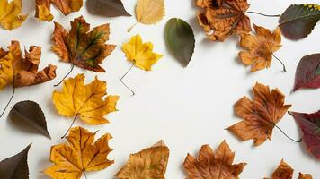 Autumn flat lay background on white photo