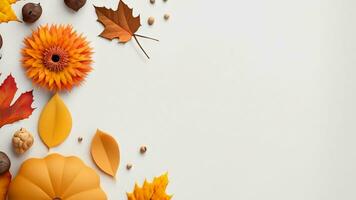 Autumn flat lay background on white photo