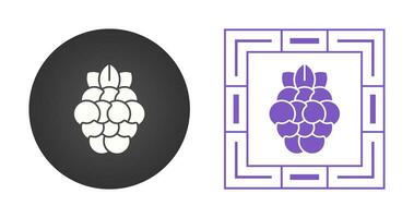 Raspberry Vector Icon