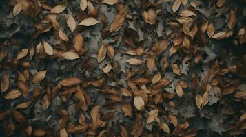Generative AI, Autumn home decoration close up, muted colors, holiday photorealistic aesthetic background photo