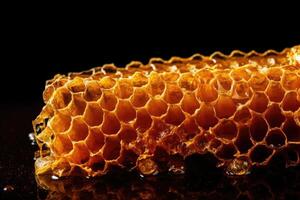 Honey cells and working bees photo