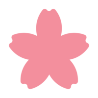 rose Sakura fleur png